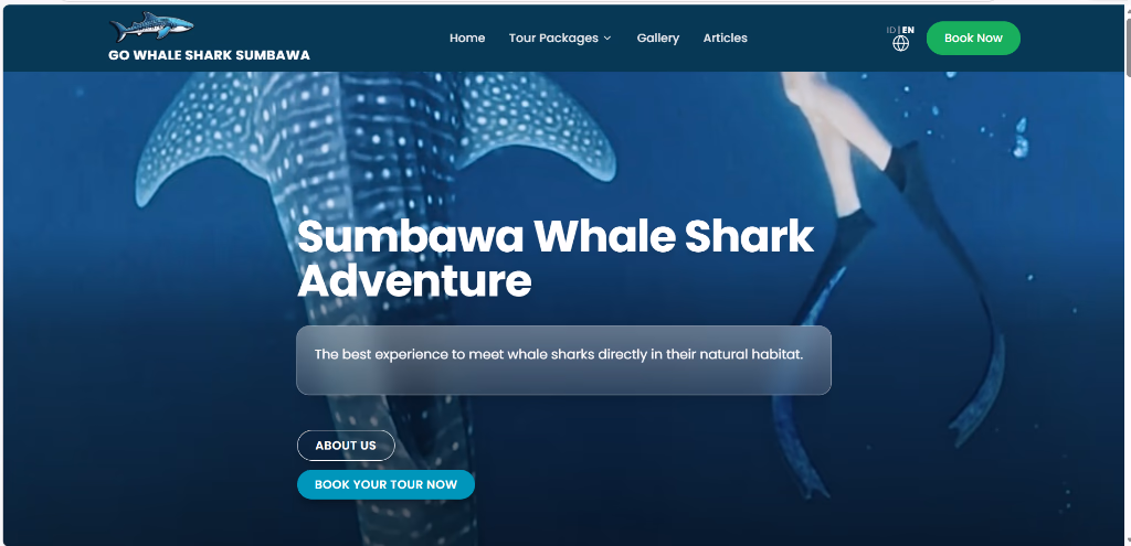 Go Whale Sharks